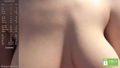 maryweberc @ stripchat on 20241023