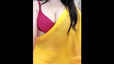 mishika_gill @ stripchat on 20241023