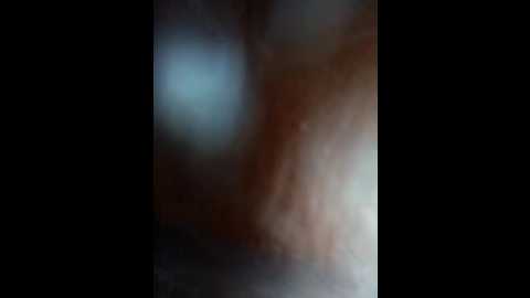 neha_bhabhi @ stripchat on 20241023