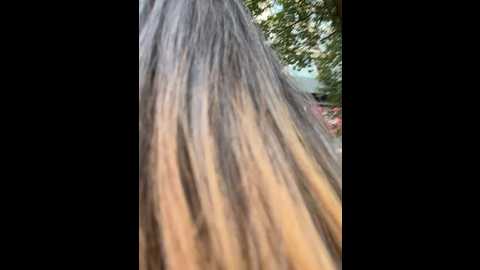 xixi_gala @ stripchat on 20241023