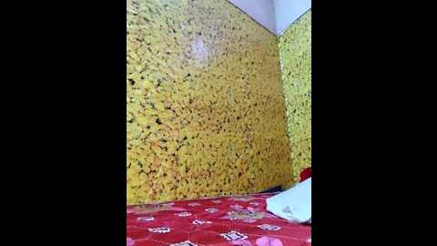 _noor7