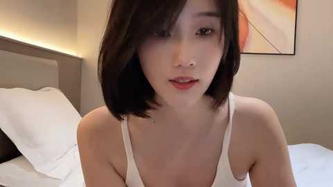 arrebo1 @ stripchat on 20241024