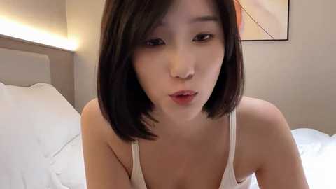 arrebo1 @ stripchat on 20241024