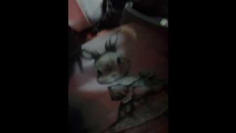 eira2004 @ stripchat on 20241024