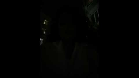 lina_twin @ stripchat on 20241024