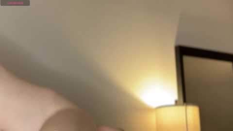 lisalewi @ stripchat on 20241024
