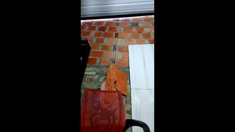 monika_youthfuull @ stripchat on 20241024