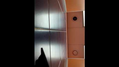 morphine_666 @ stripchat on 20241024