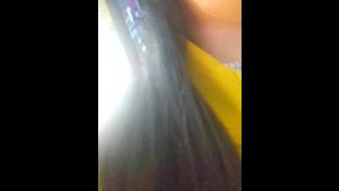 yuunalee @ stripchat on 20241024