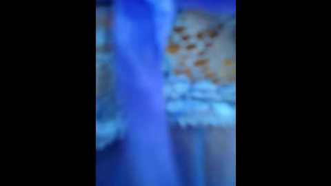 aadya_7 @ stripchat on 20241025