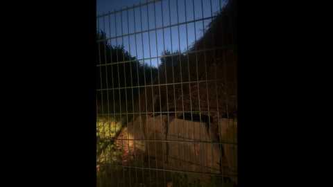 alessia_moor @ stripchat on 20241025