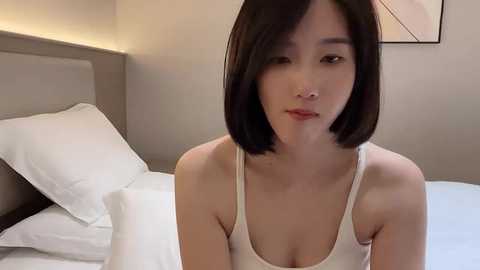 arrebo1 @ stripchat on 20241025