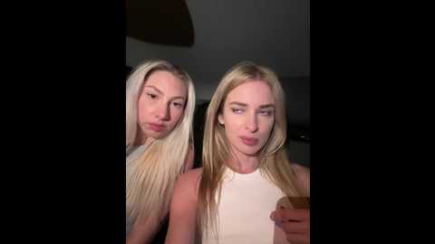 evieevans @ stripchat on 20241025