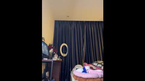 nacy_moonlight @ stripchat on 20241025
