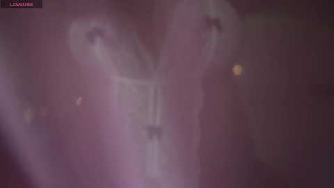 only_aleesha @ stripchat on 20241025