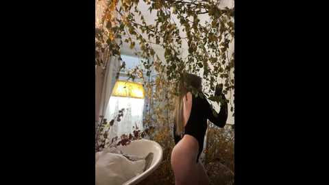 porncorn @ stripchat on 20241025