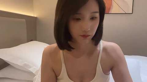 arrebo1 @ stripchat on 20241026