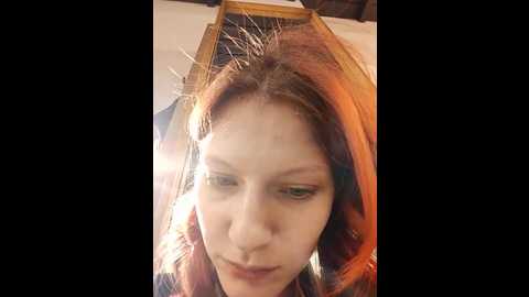 maryhiggins @ stripchat on 20241026