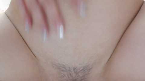 momo_room @ stripchat on 20241026