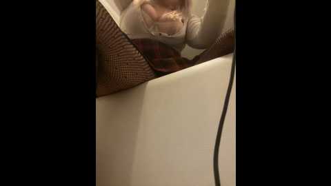 only_eva @ stripchat on 20241026