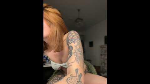 accole @ stripchat on 20241027