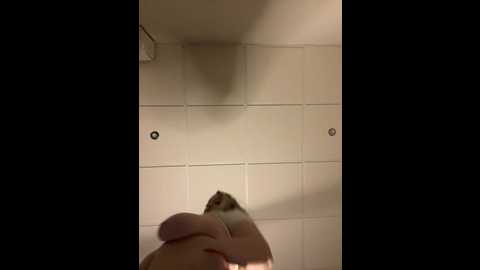 alexsia_riley @ stripchat on 20241027