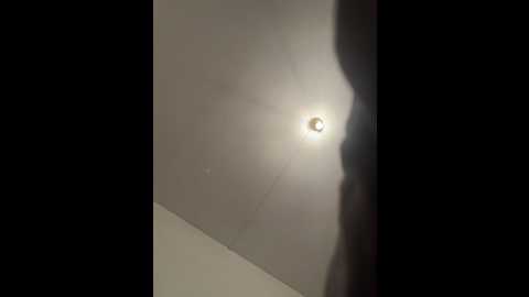 inesxv @ stripchat on 20241027