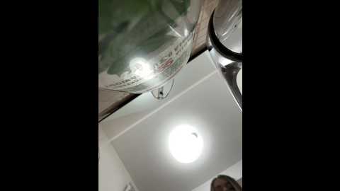 isabellaetthan @ stripchat on 20241027