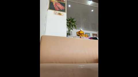 andii_1 @ stripchat on 20241028