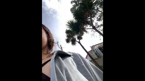 ariel_72 @ stripchat on 20241028