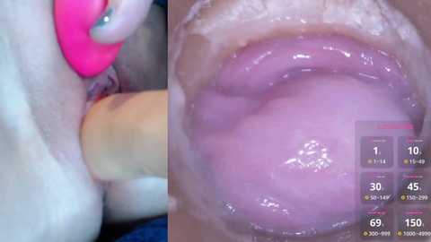 danigirl866 @ stripchat on 20241028