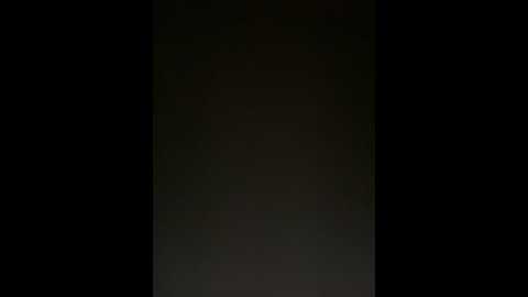 lina_twin @ stripchat on 20241028