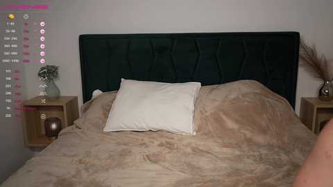 oscar_nika