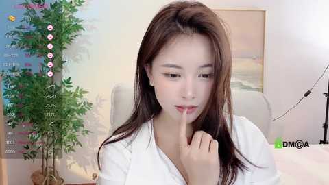 xixibaobei_520 @ stripchat on 20241028