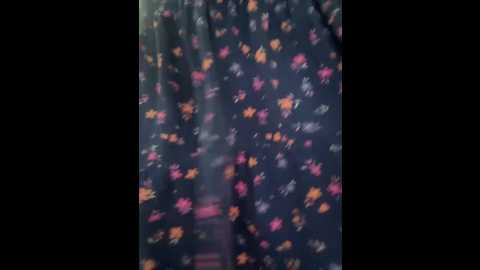 _euphoria @ stripchat on 20241029