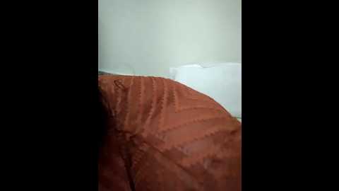 akirti_sharma @ stripchat on 20241029