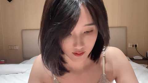 arrebo1 @ stripchat on 20241029
