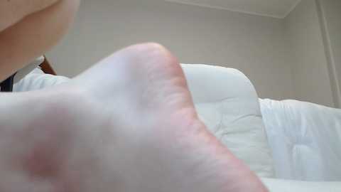 haru_run @ stripchat on 20241029