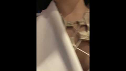 lina_twin @ stripchat on 20241029