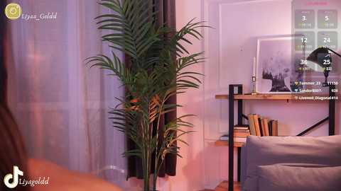 liya_gold_ @ stripchat on 20241029