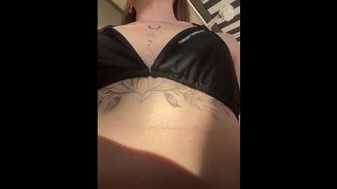 porncorn @ stripchat on 20241029