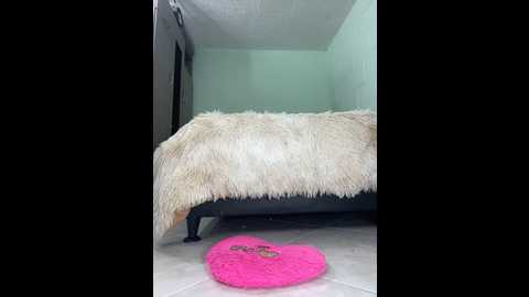 sofhi_a20 @ stripchat on 20241029