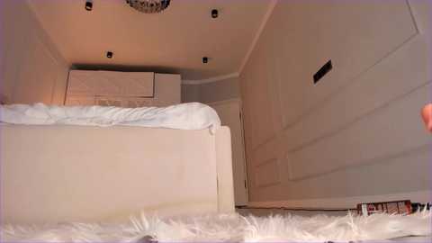 stellagracee @ stripchat on 20241029