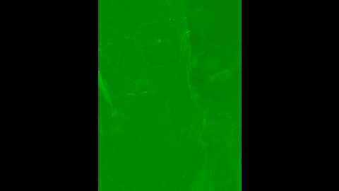 sweet_angel999 @ stripchat on 20241029