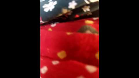 indiankanak @ stripchat on 20241030