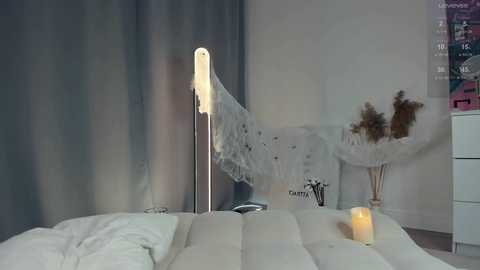 lisaleev @ stripchat on 20241030