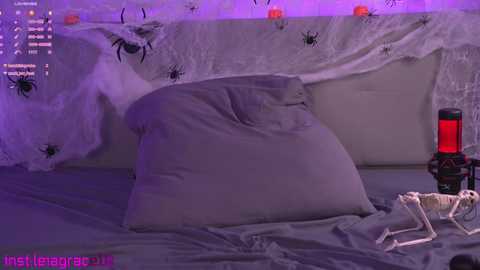 marryhil @ stripchat on 20241030