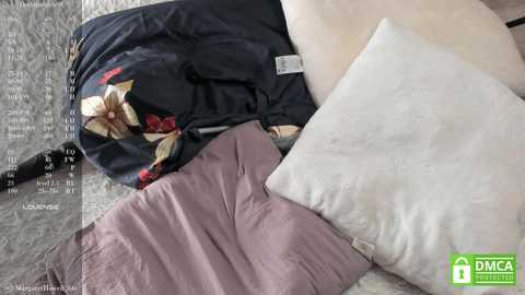 maryweberc @ stripchat on 20241030