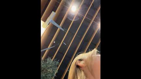 _angelari_ @ stripchat on 20241031