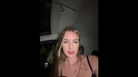 evieevans @ stripchat on 20241031